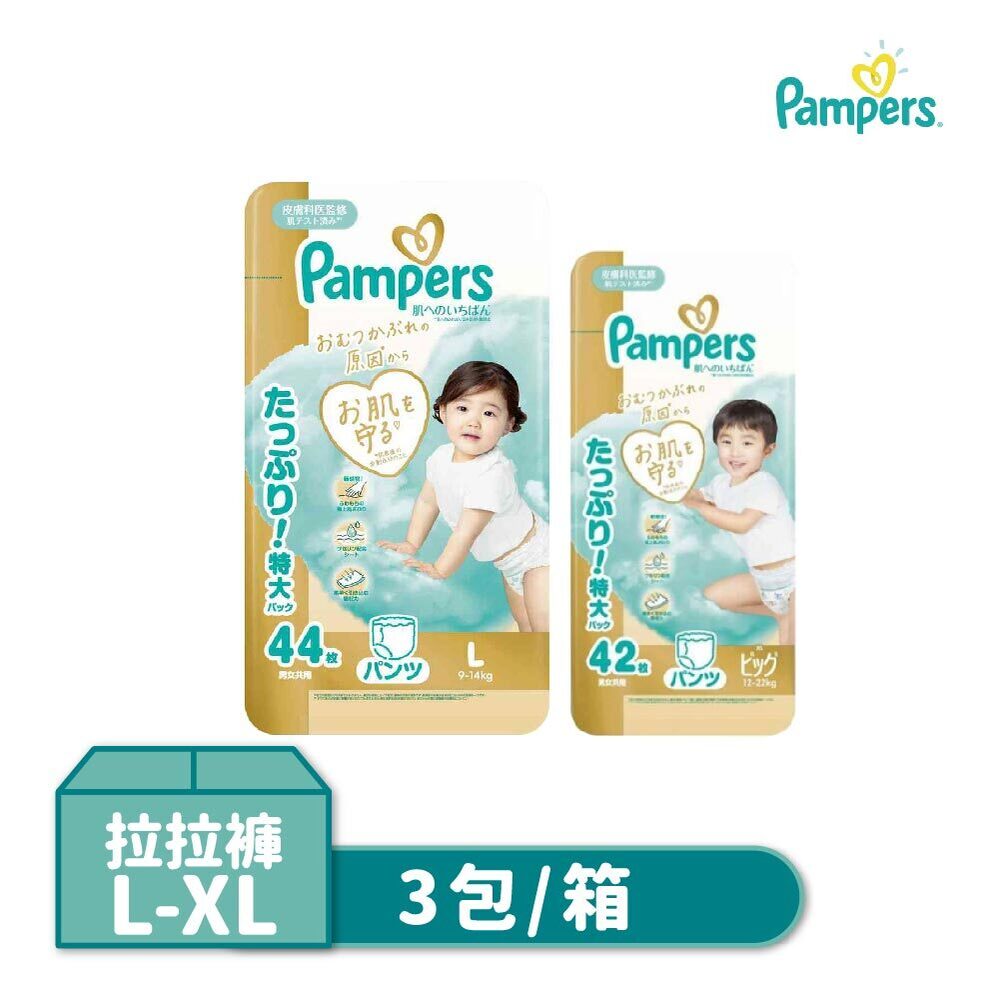 Pampers幫寶適一級幫拉拉褲｜L・XL 日本境內版 3包箱購